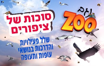 נגב ZOO – פעילויות צפרות חווייתיות